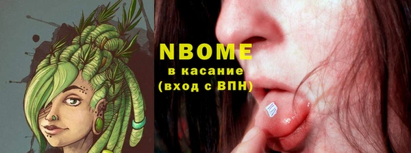 СК Новозыбков