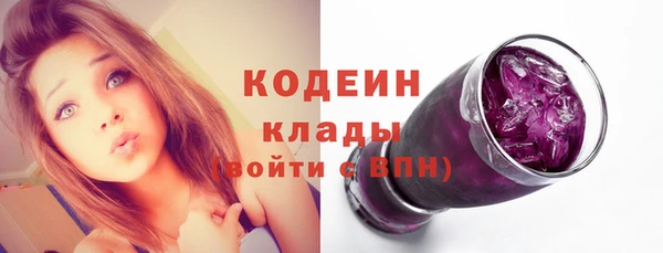 СК Новозыбков