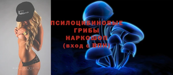 СК Новозыбков