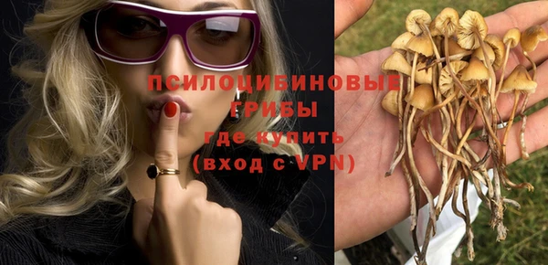 герыч Осинники