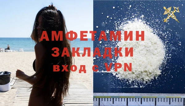 стафф Новодвинск