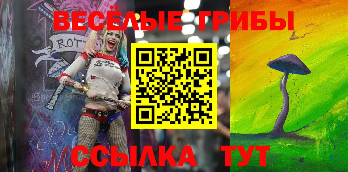 Галлюциногенные грибы мухоморы Приморско-Ахтарск