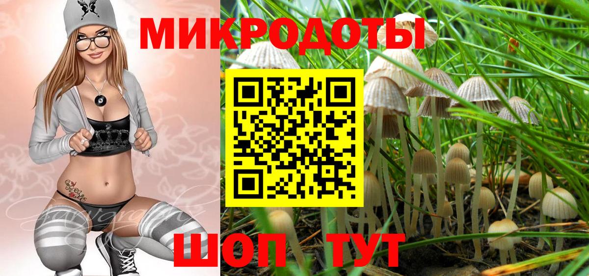 Приморско-Ахтарск  как найти закладки  Вход с VPN  Псилоцибиновые грибы Psilocybe 
